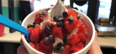 Vanilla Cup with Strawberries and Chocolate Chips
