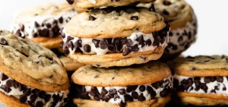 Ice Cream Sandwich with Chocolate Chips