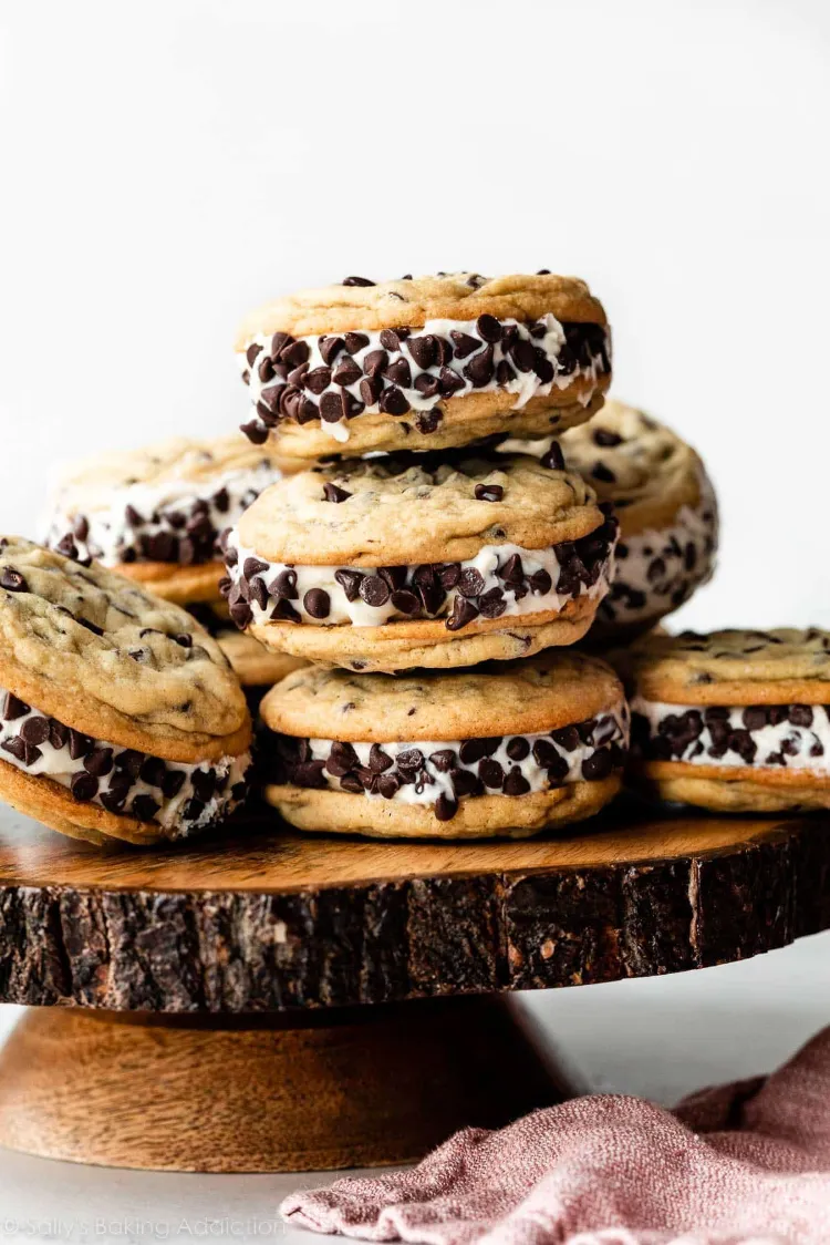 Ice Cream Sandwich with Chocolate Chips
